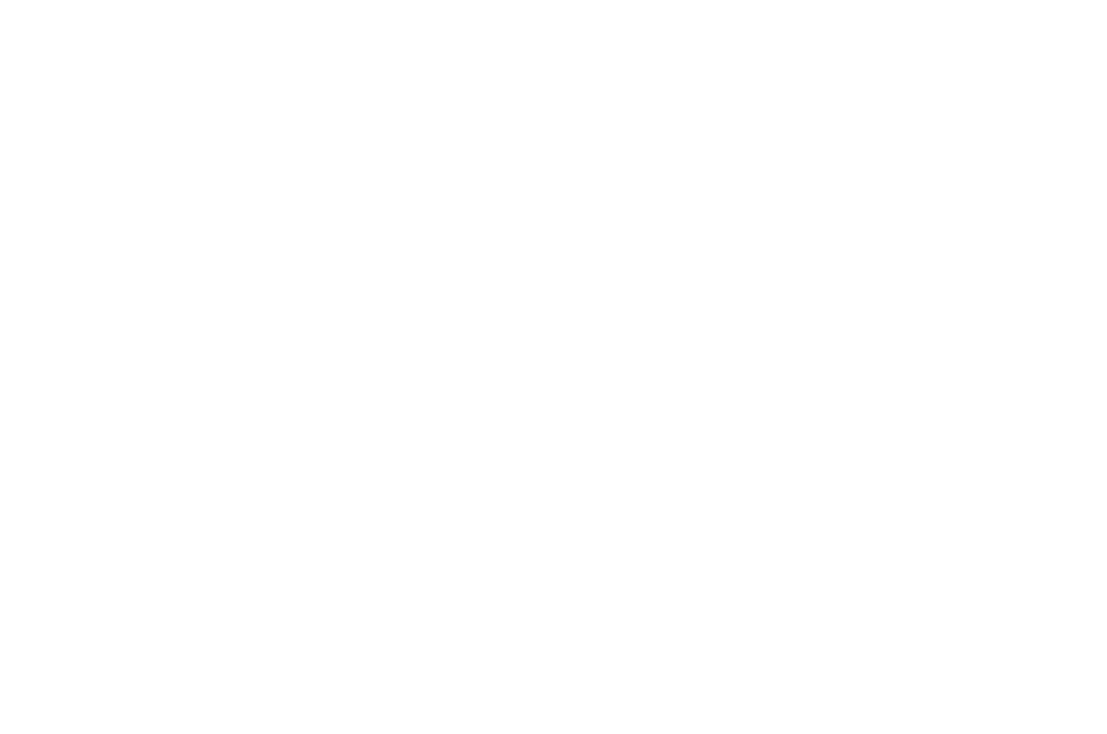 Logo Sponsor